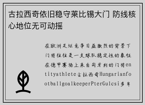 古拉西奇依旧稳守莱比锡大门 防线核心地位无可动摇 古拉西奇依旧稳守莱比锡大门 防线核心地位无可动摇